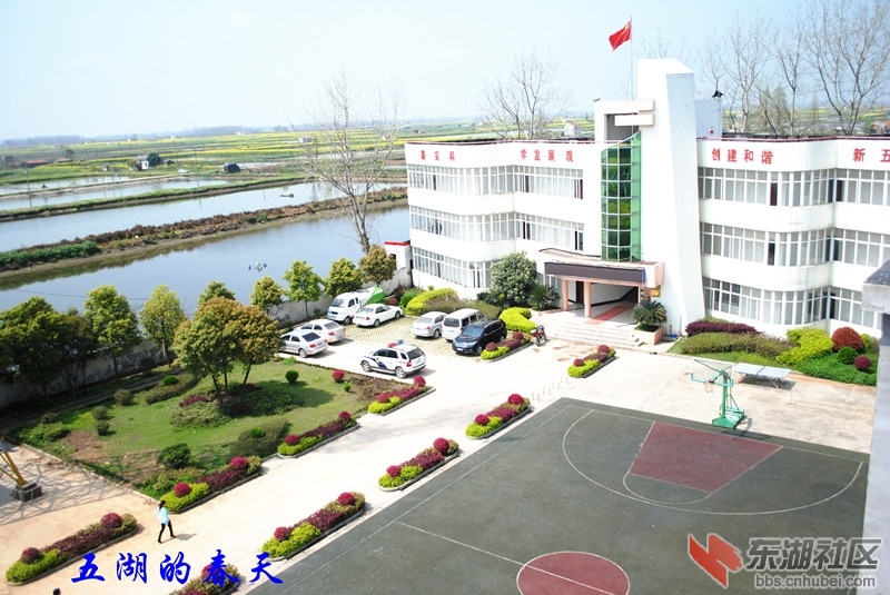 04.jpg
