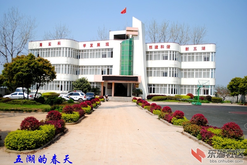 06.jpg