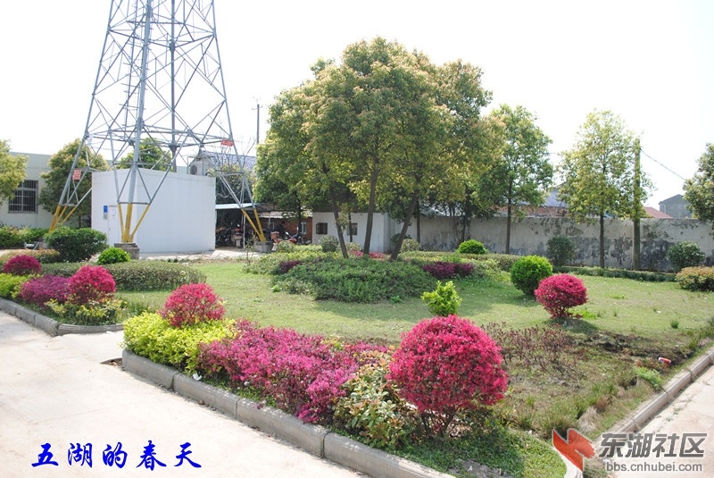 07.jpg