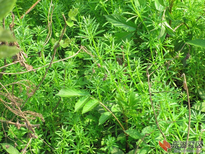 照片 068_副本.jpg