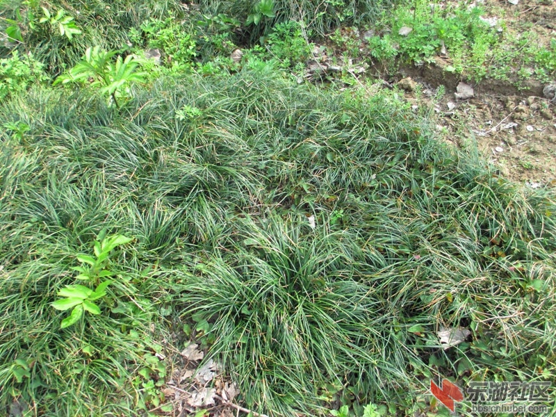 照片 070_副本.jpg