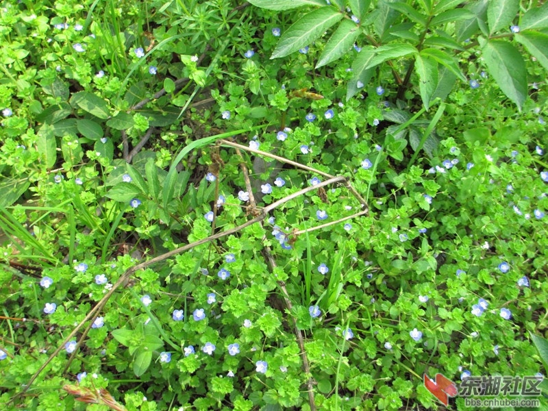照片 075_副本.jpg