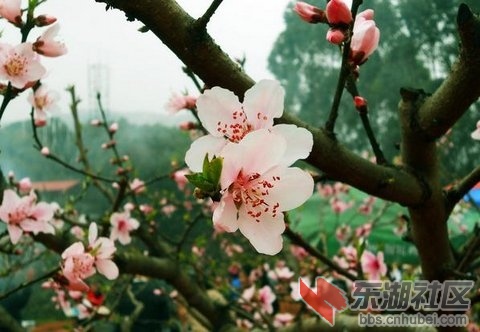2014033001 .jpg