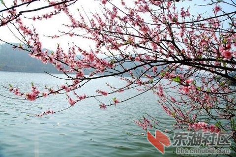 2014033002 .jpg