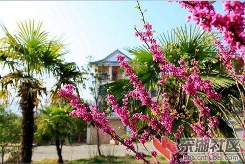 2014033003 .jpg