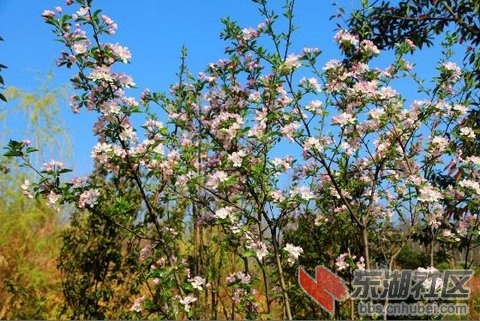 2014033005 .jpg