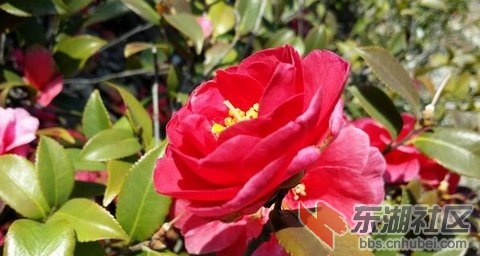 2014033006 .jpg