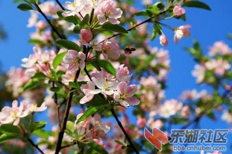 2014033007 .jpg
