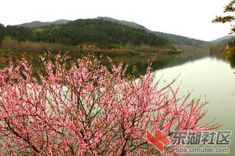 2014033008 .jpg
