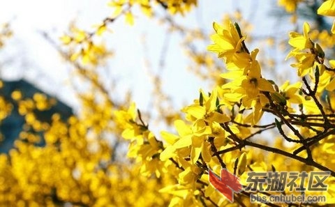 2014033010 .jpg
