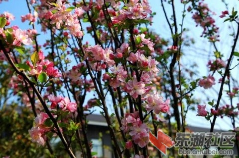 2014033011 .jpg