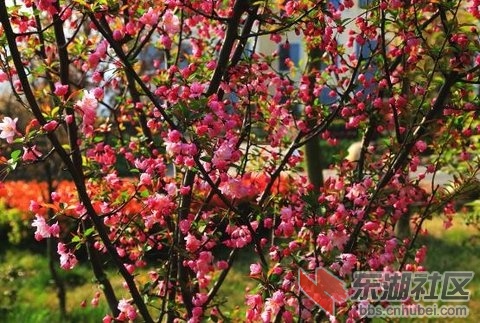 2014033013 .jpg