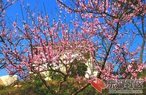 2014033015 .jpg