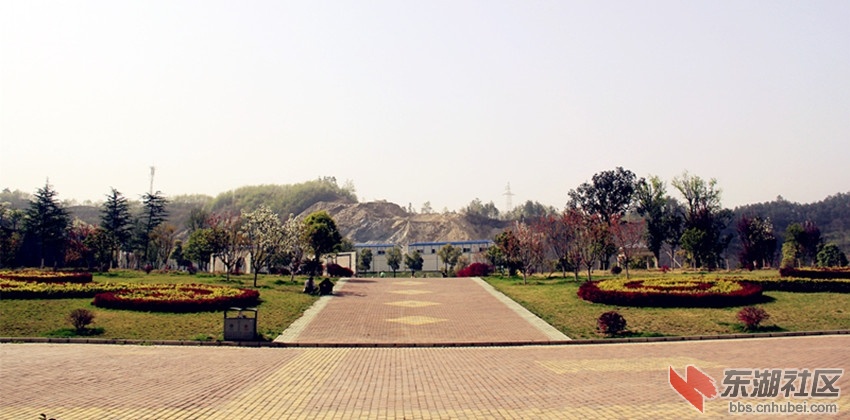 7605.jpg