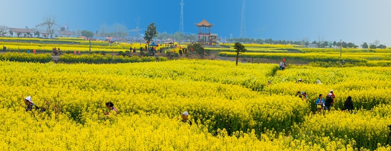 DSC 3380 81.s._全景图1_副本.jpg