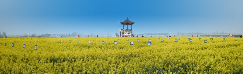 DSC_ 3251---54 _全景图 .s_副本.jpg