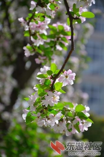 DSC_5270.JPG