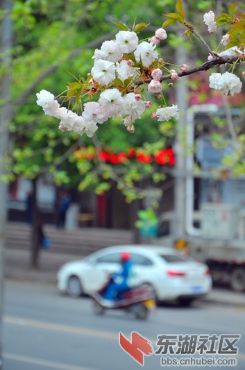 DSC_5320.JPG