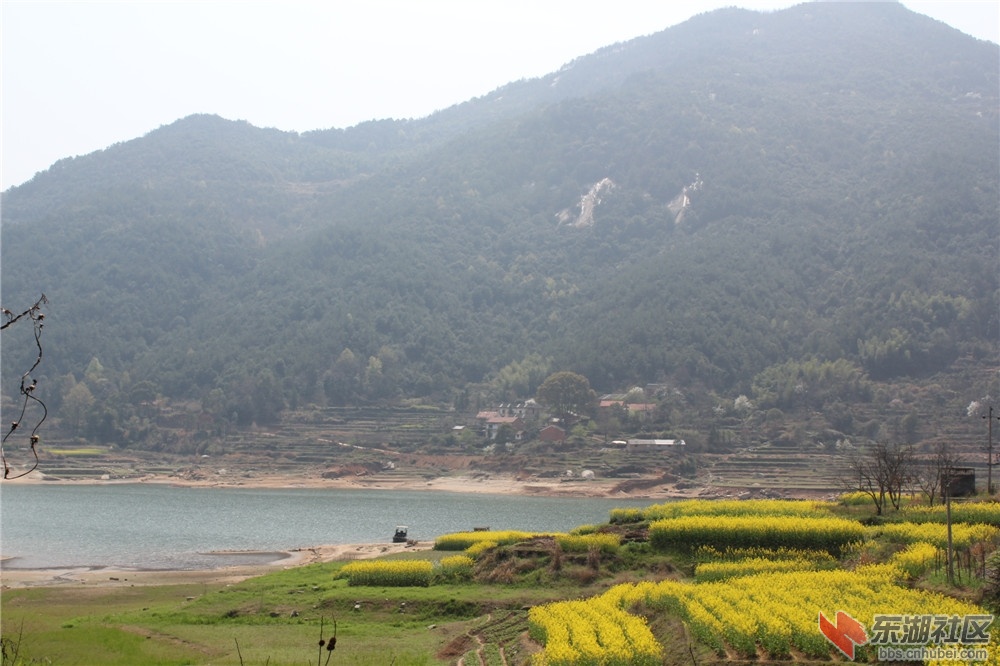 IMG_4463_副本.jpg