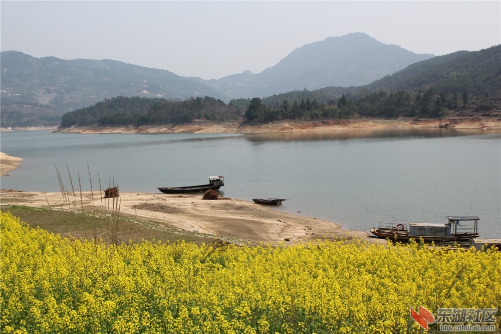 IMG_4473_副本.jpg
