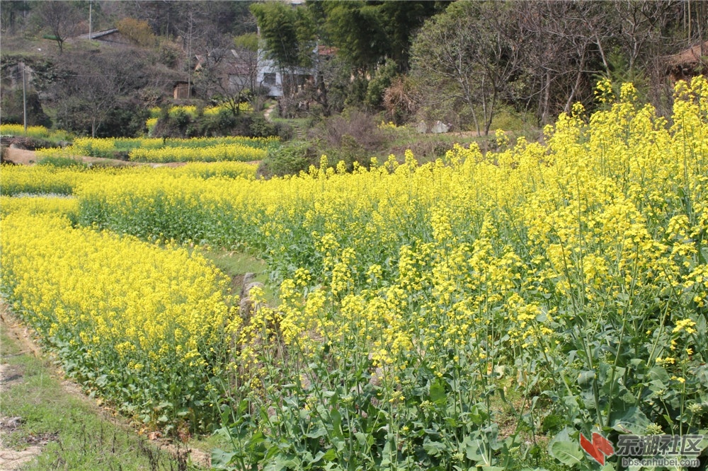 IMG_4478_副本.jpg