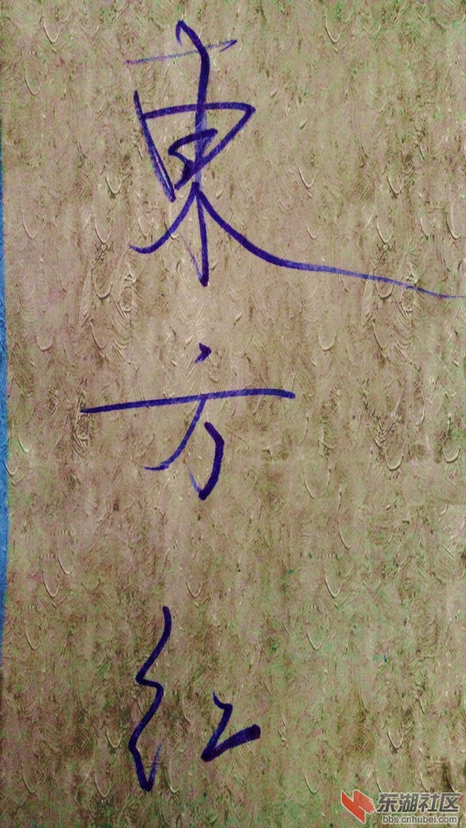 dsc_0011_副本.jpg