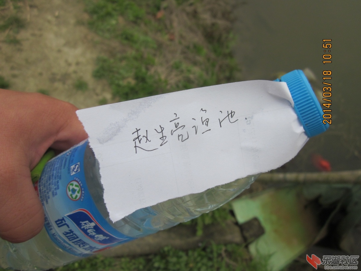 照片 274.jpg
