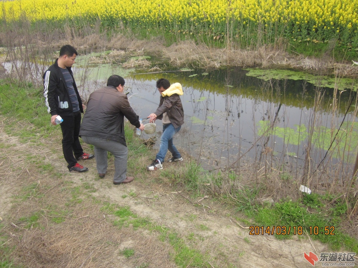 照片 275.jpg