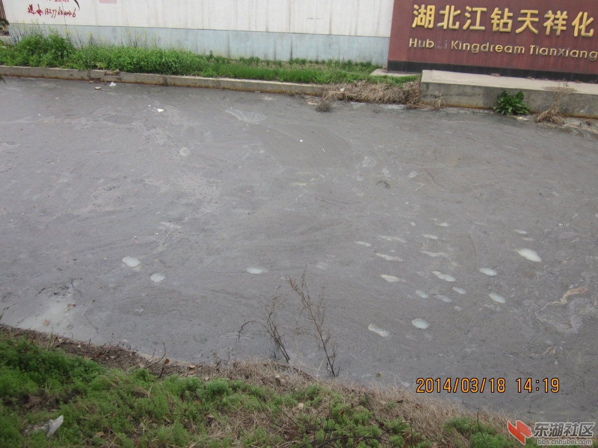 照片 294.jpg