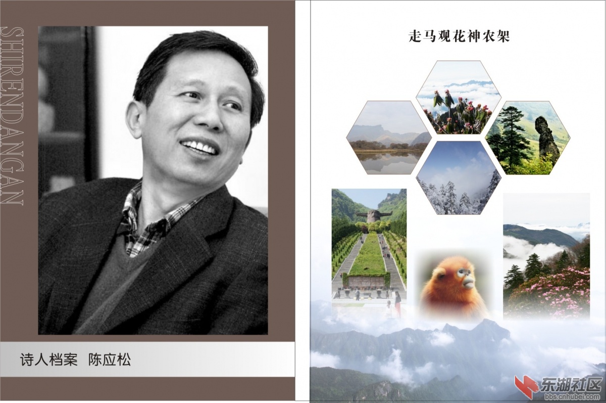 封面正-2.jpg