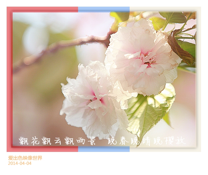 IMG_4183_副本800.jpg