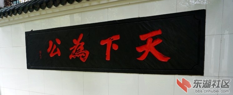 DSC03751_conew1.JPG