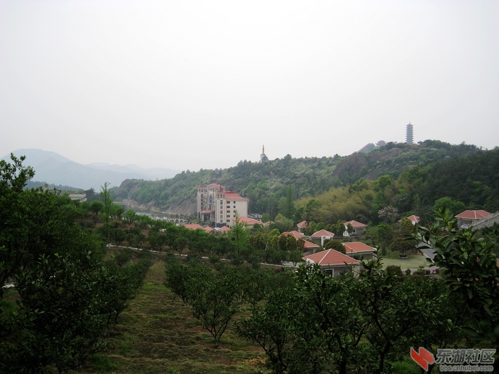 03.jpg