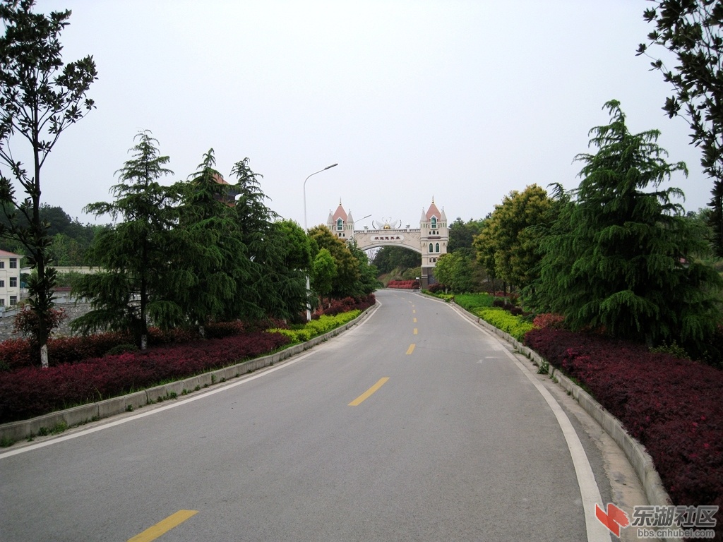 06.jpg