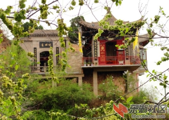美味榆树钱.jpg