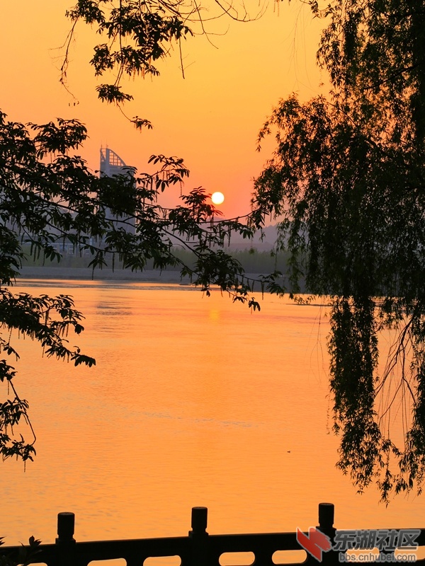 IMG_3956_副本.jpg