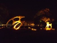 沙市之夜1
