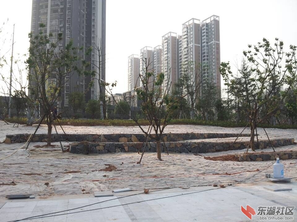 QQ图片20140409085237.jpg