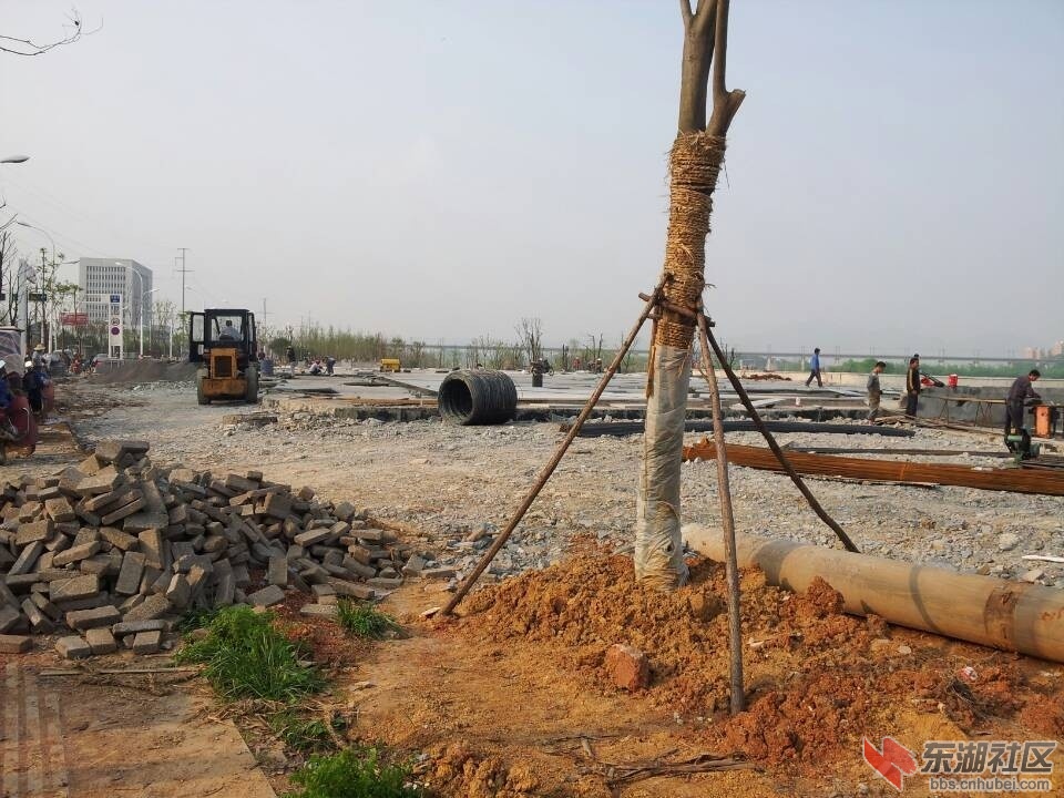 QQ图片20140409085251.jpg