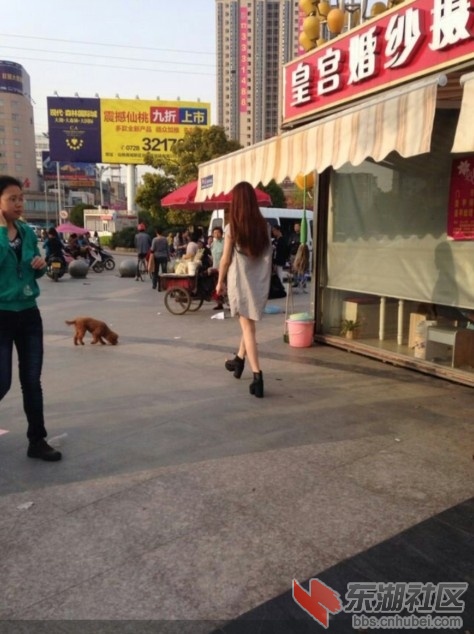 5QQ截图20140410105646.jpg