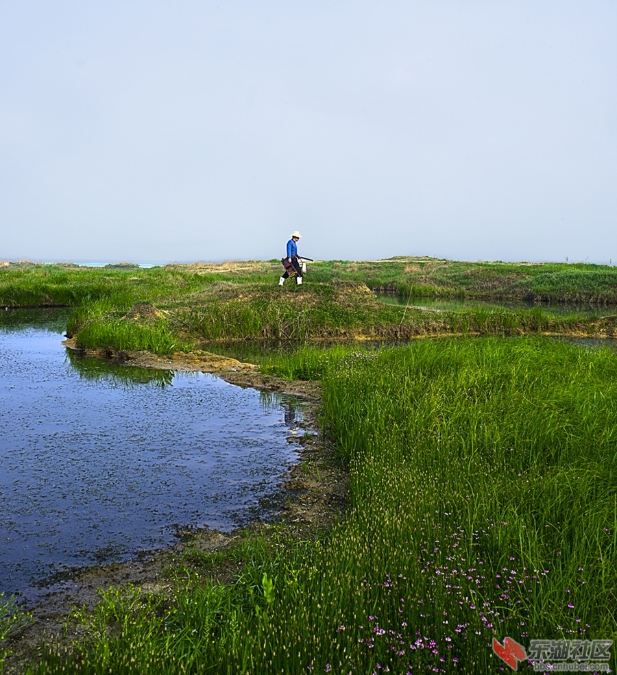 _DSC8786-0.jpg
