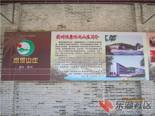 115022h303ys6635srpoax.jpg