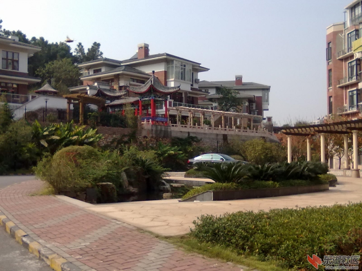20111127253.jpg