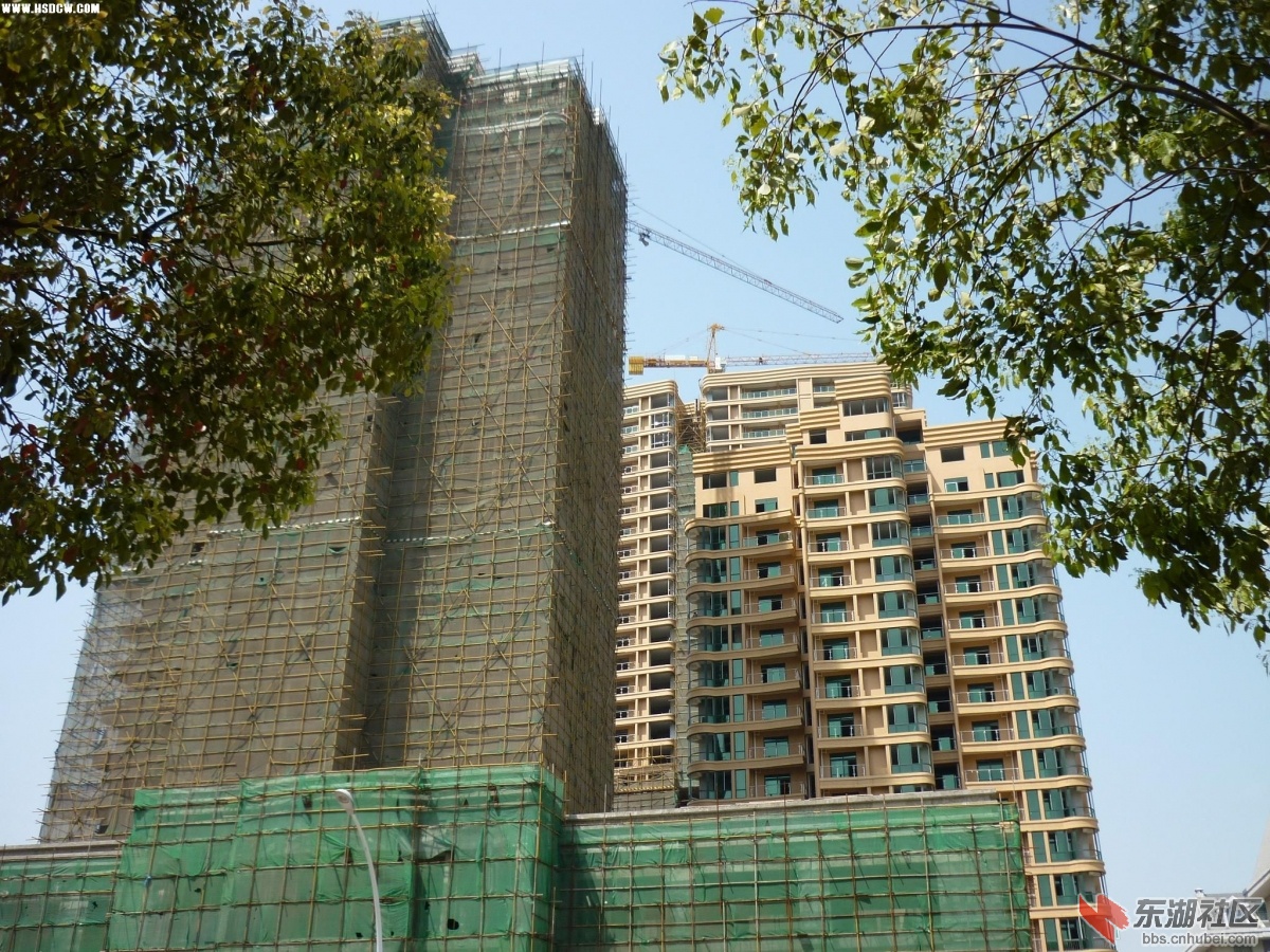 20104817333239926.jpg