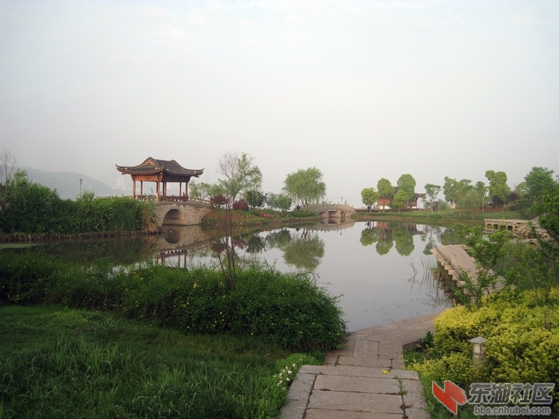 04.jpg