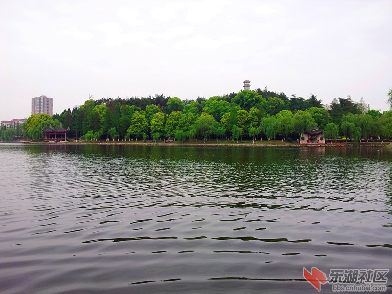 20140417_134016.jpg