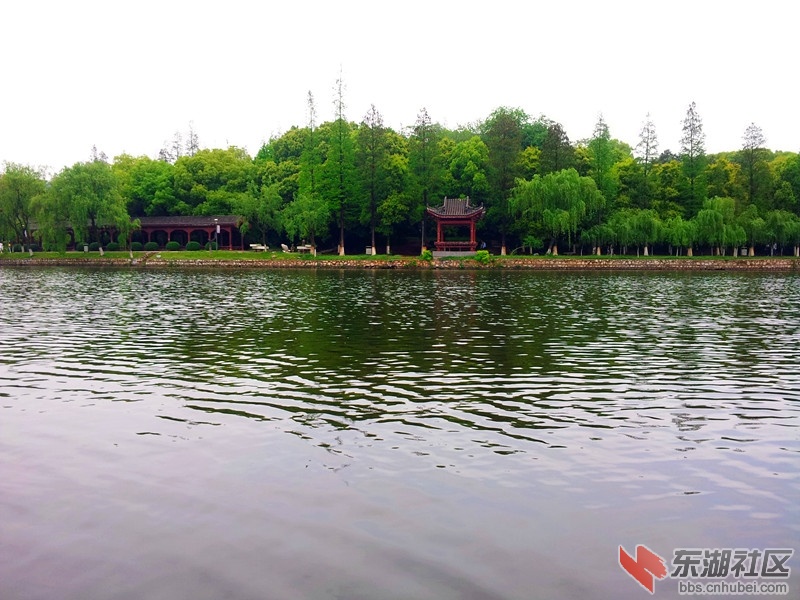 20140417_132431.jpg