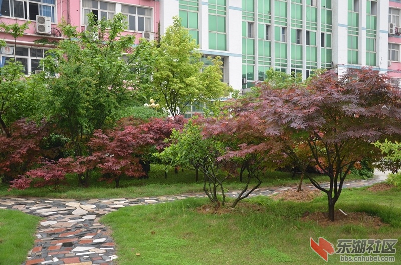 03.jpg
