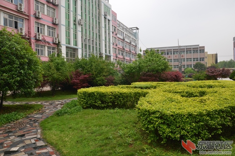 06.jpg