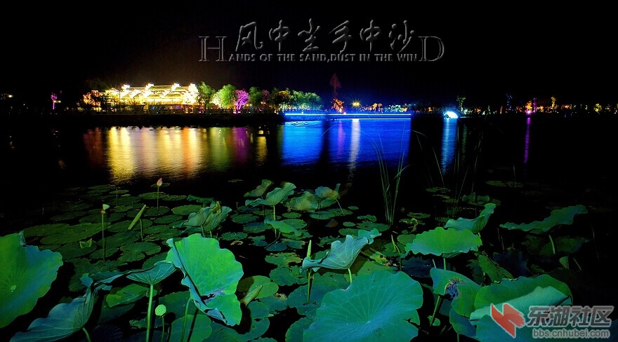 20110930002017972.jpg